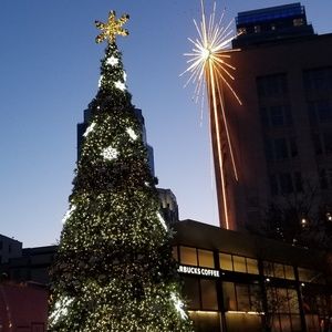 Meet your Posher, Nita